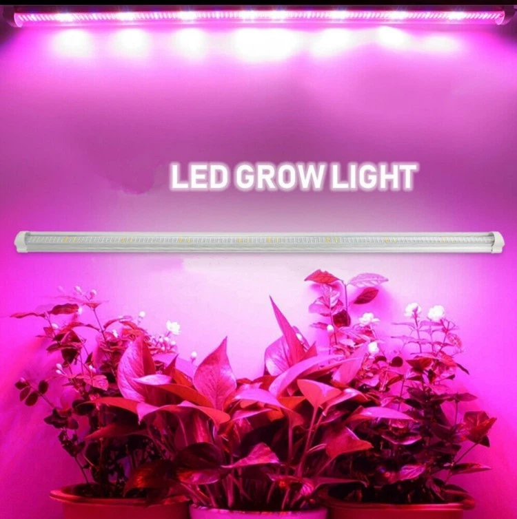grow light gardens grow light gardens