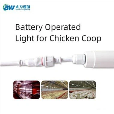 Светлина за кокошарник, работеща с батерии