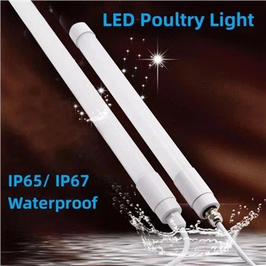 Led тръбни лампи 12v