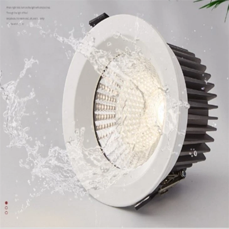 50mm Cutout Led Downlight