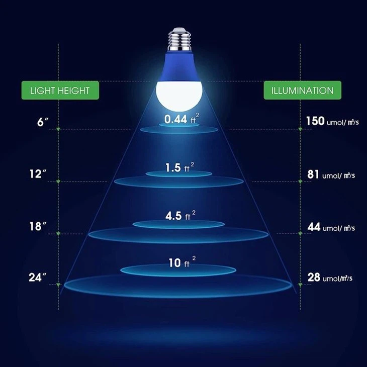 Blue Spectrum Grow Light Bulbs for Seedlings 4