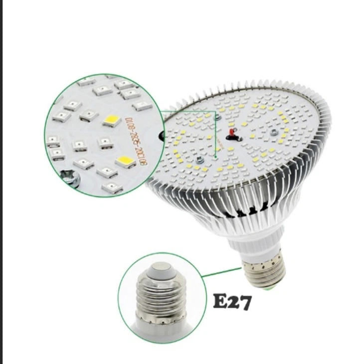 light bulbs for plants