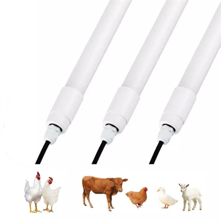 led lights for poultry house