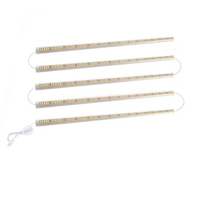 6500k   LED   расте   светлина
