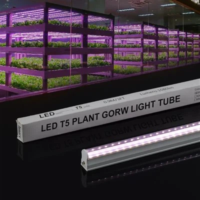 Grow Lights For Microgreens