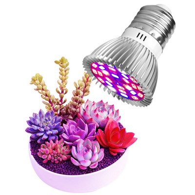 Слънчеви крушки за растения