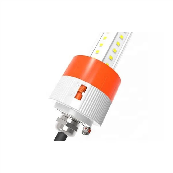 Solar Chicken Coop Light