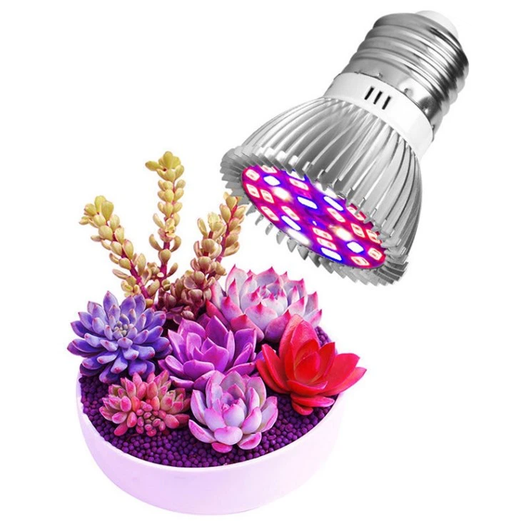 Sunlight Light Bulbs For Plants