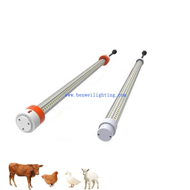 0-12V Dimmable 3500K 12W Chicken Light