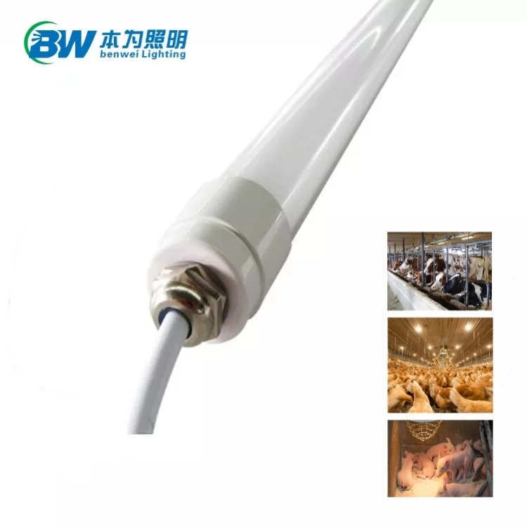 0-12V Dimmable 3500K 12W Chicken Light