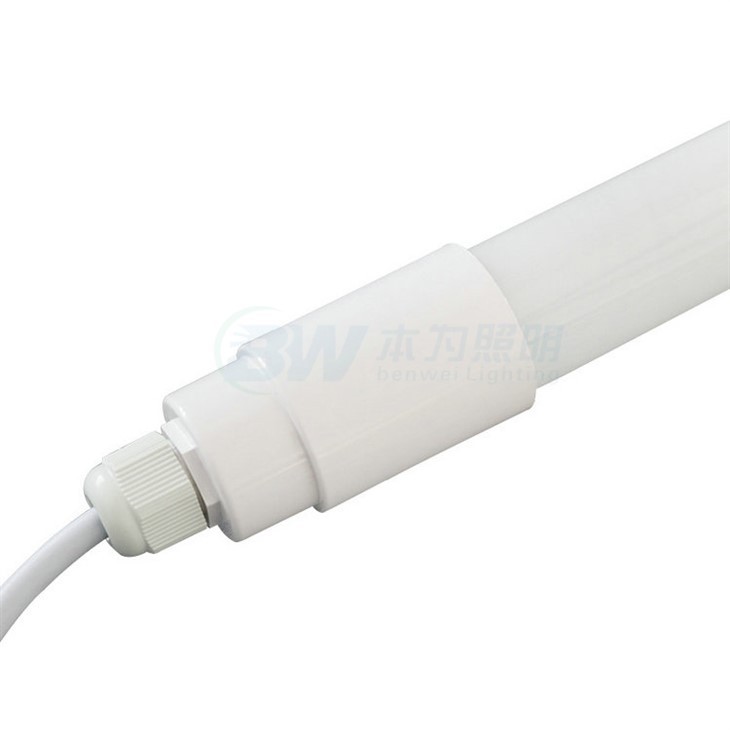3000K LED Poultry Lighting