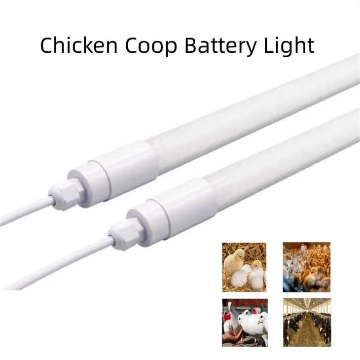 3ft Led Chicken Lighting