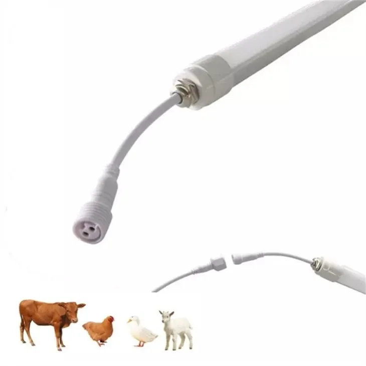 Beef Farm Illumination