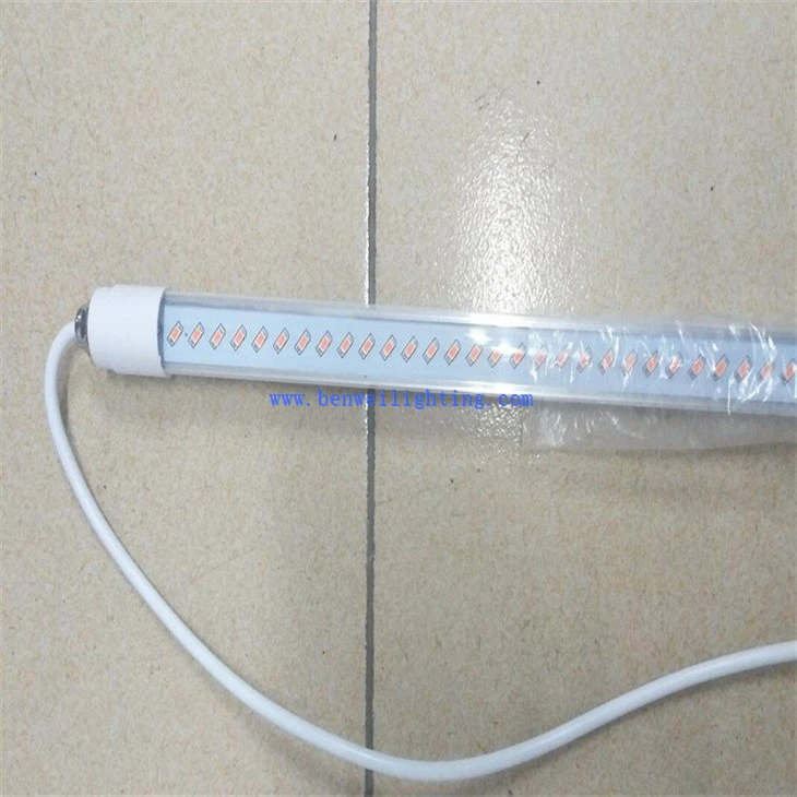 Dairy barn light (3)