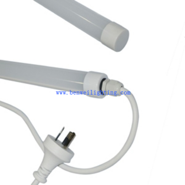 Farmyard Poultry Light (3)