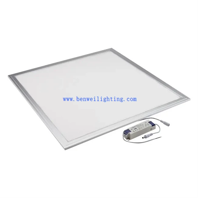 Flat Ceiling Light (1)