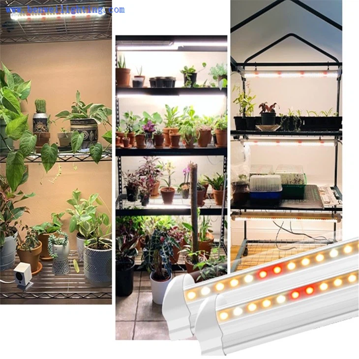 greenhouse grow lights