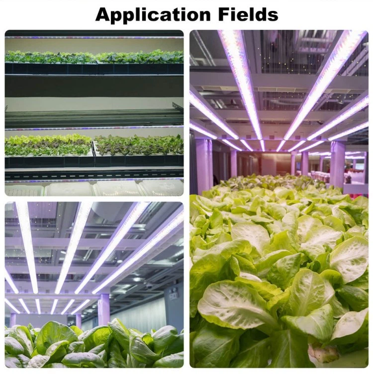 t8 led growing lights t8 led growing lights
