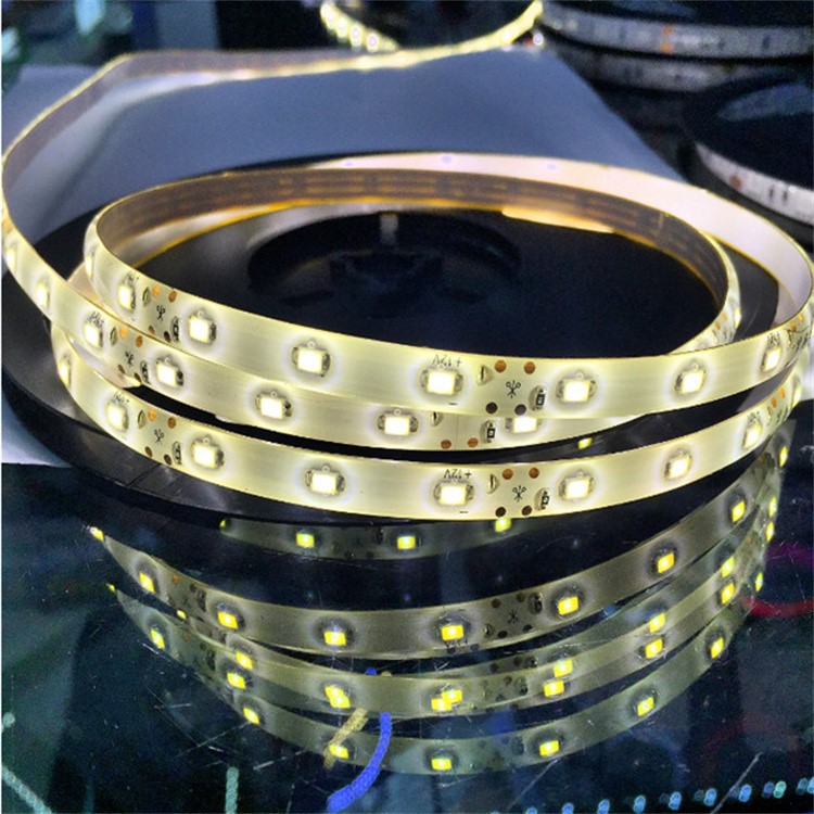 LED Strip Light for Holiday Decor 1