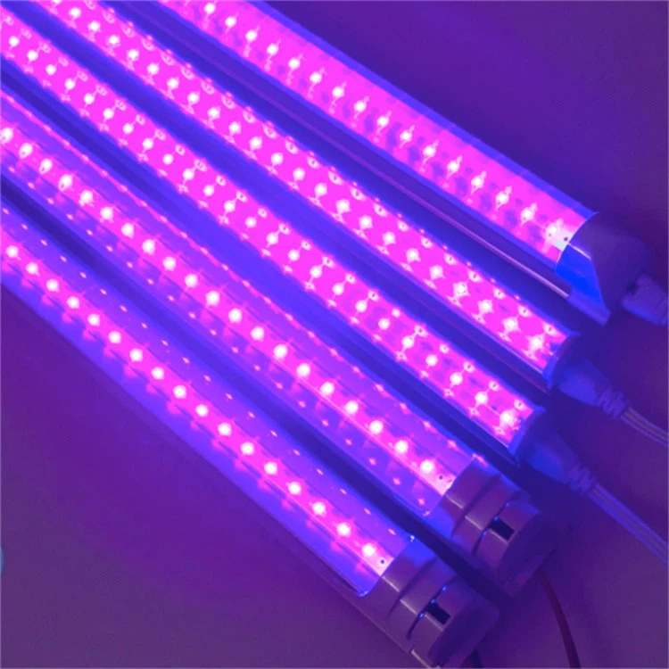 395nm UV Lamp 2