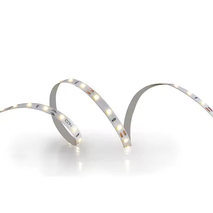 IP65 Led Strip Light 12v