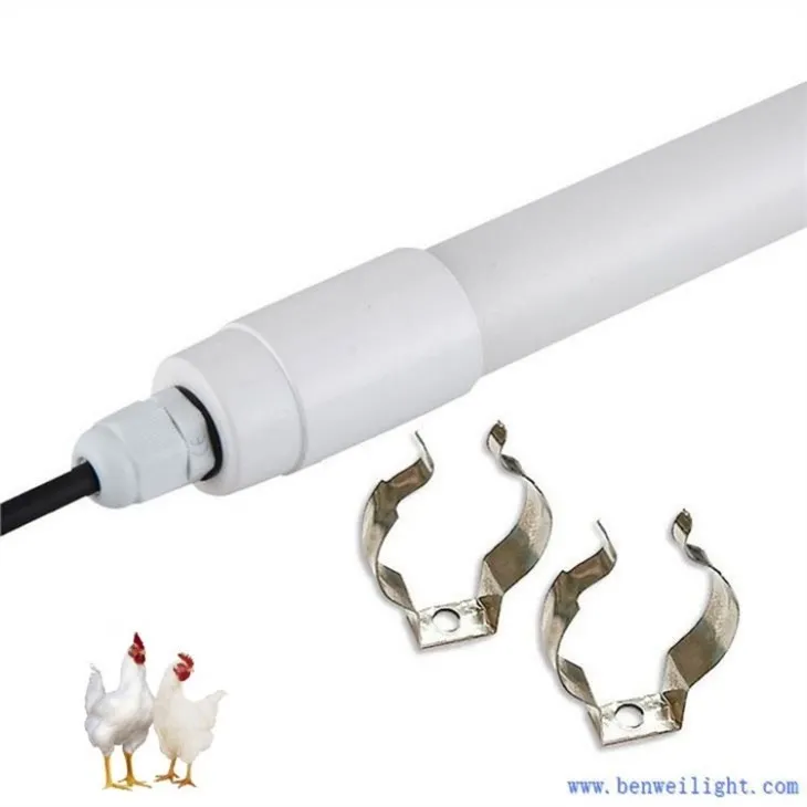 chicken coop light fixture