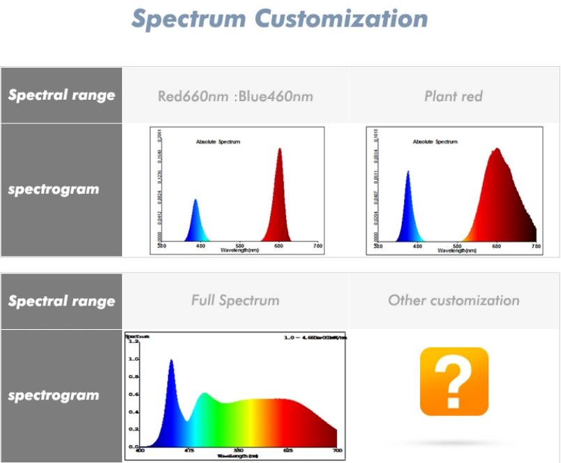 A24A824A3068A686D7D9326C8DBE6EC0 A24A824A3068A686D7D9326C8DBE6EC0