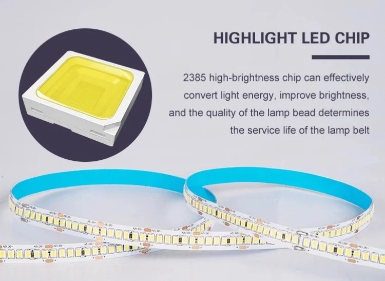 strip light intro strip light intro