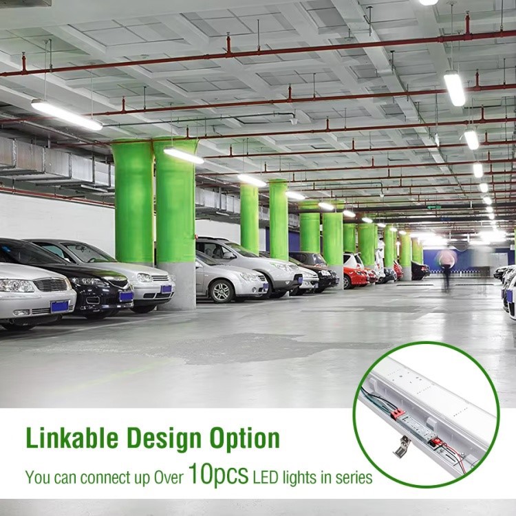 product-750-750 product-750-750