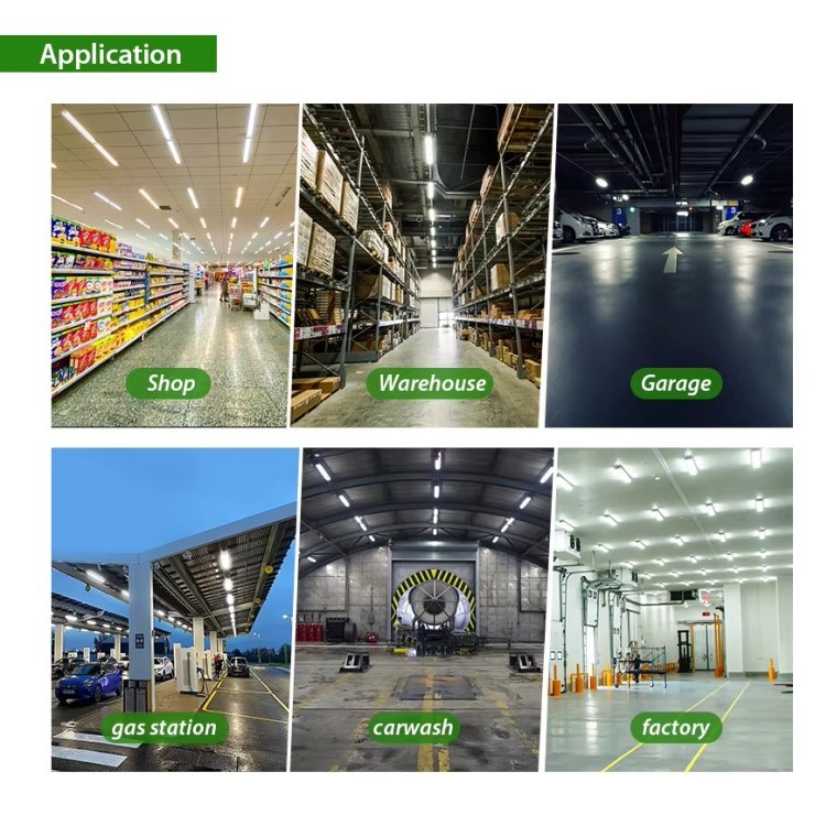 product-750-750 product-750-750