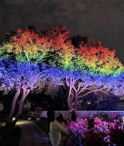 150LM/W прожектор без трептене