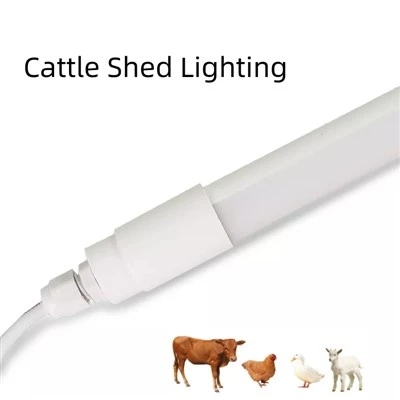 IP67 Chicken Light