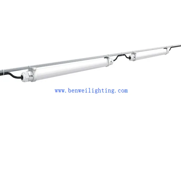 T5 T8 Led Tube Poultry Light