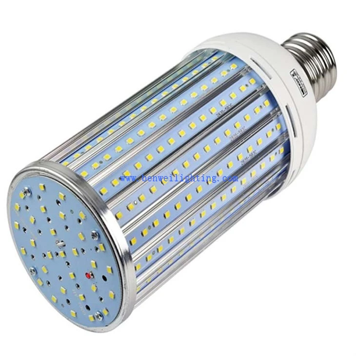 White Color Corn Light (1)
