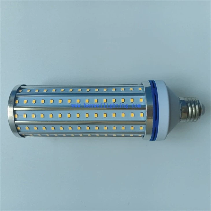 White Color Corn Light (3)