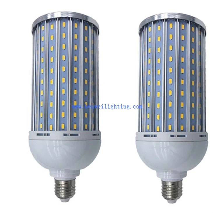 White Color Corn Light (4)