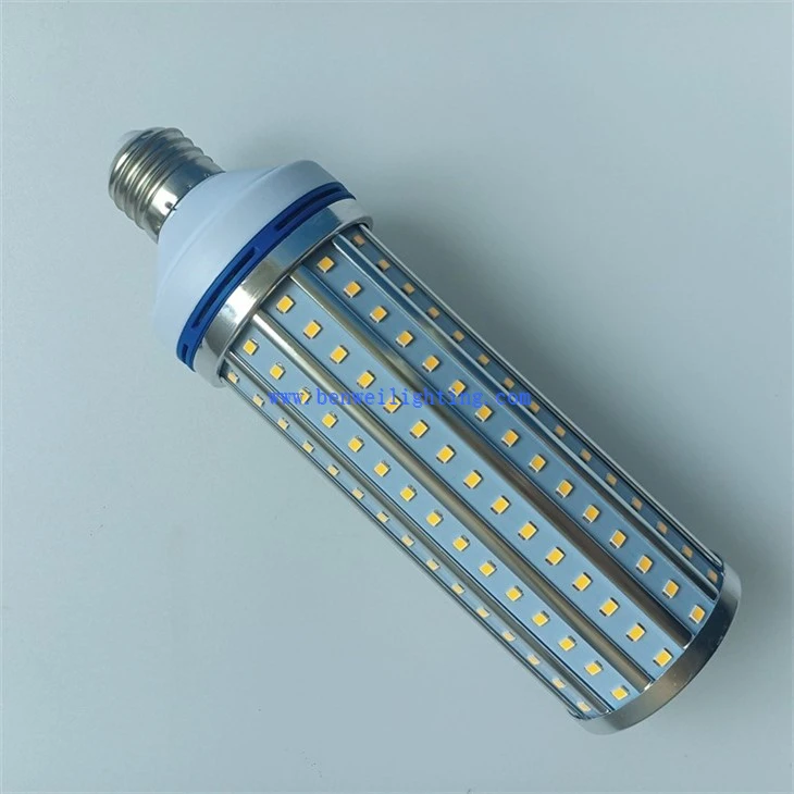 White Color Corn Light (2)
